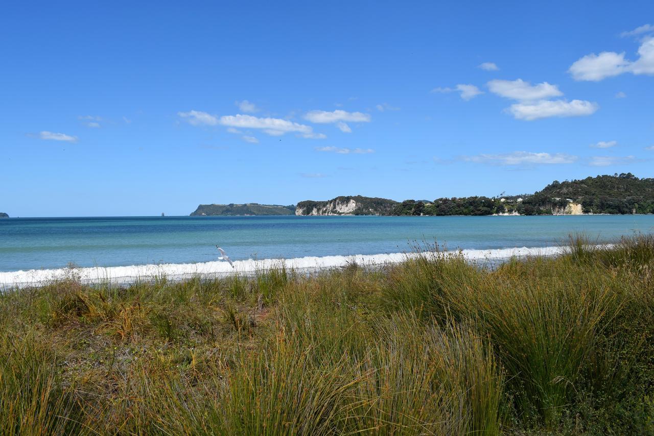 Paradise In Whitianga B&B Wells Place Eksteriør billede